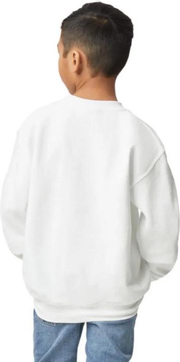 Image du produit Gildan - Sweat - Enfant (104)