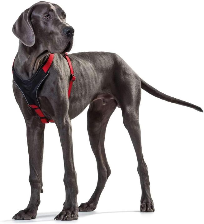 Produktbild Hunter Hundegeschirr (XS, Hund, Allgemein, Spazieren, Hundesport)