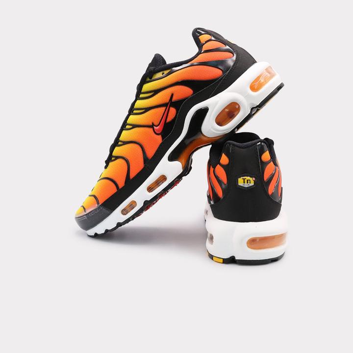 Image du produit Nike Air Max Plus (44)