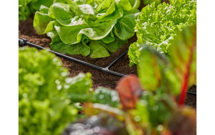 Produktbild Gardena T-Stück 4,6 mm (Tropfbewässerung Verbinder + Abzweiger)
