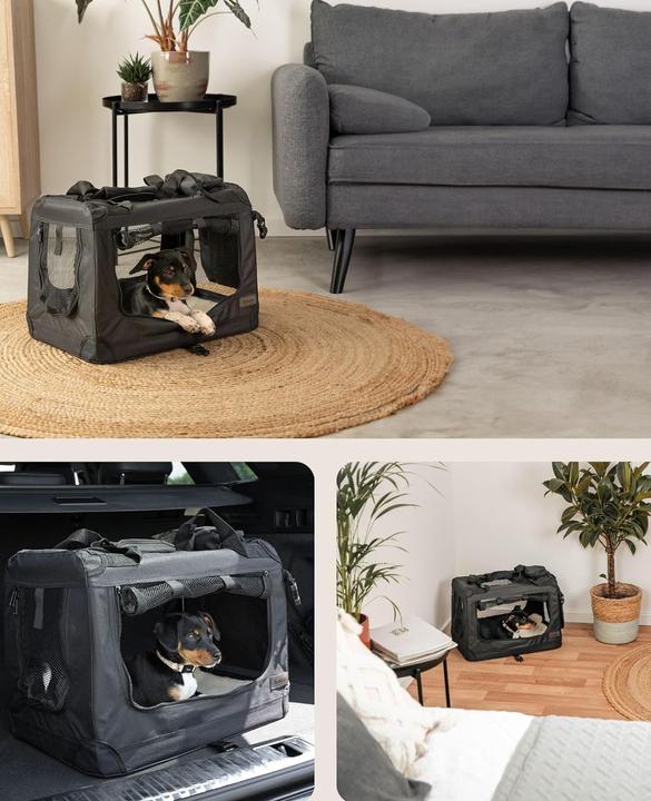 Actual product image Dibea Double Dog Transport Box (Cat, Dog, Breathable, Foldable)