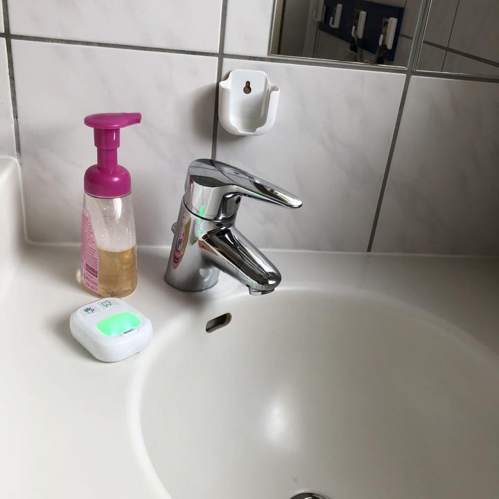 Actual product image TFA Toothbrush Timer