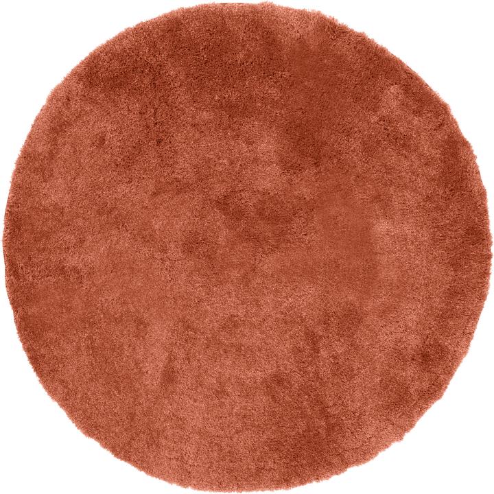 Terra