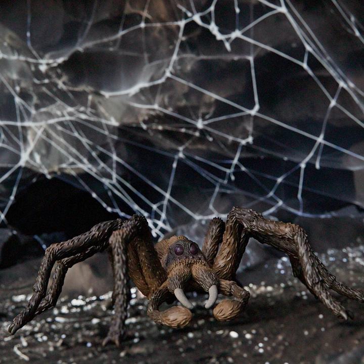 Image du produit Schleich Aragog