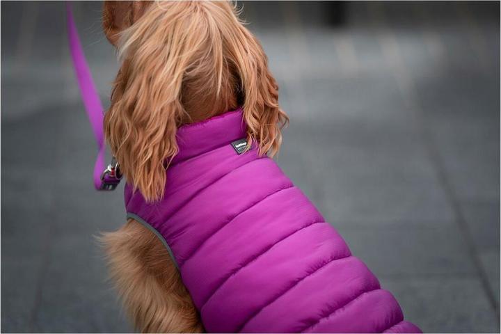 Image du produit Red Dingo Manteau pour chien Puffer 50 cm rose/violet (Manteau pour chien)