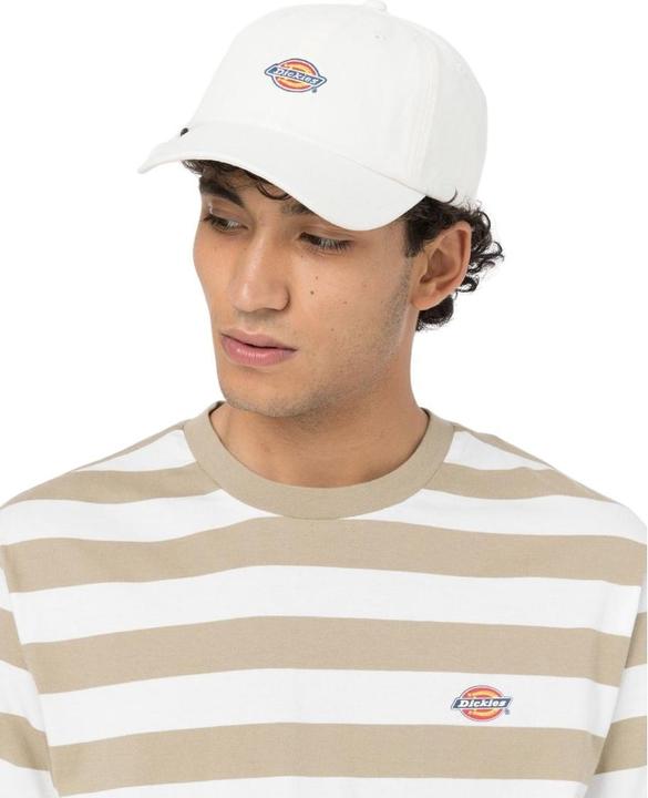 Immagine prodotto Dickies Hardwick Cloud (Taglia unica)