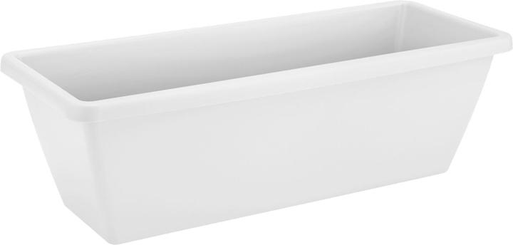 Blanc