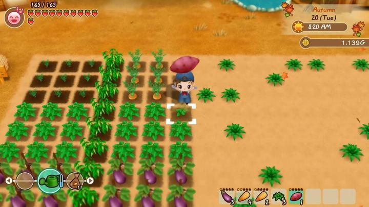 Actual product image Marvelous Story of Seasons : Friends of Mineral Town (Switch, FR)
