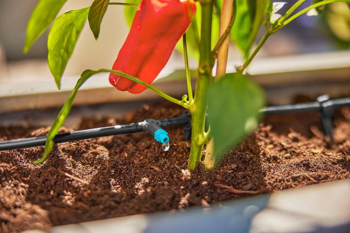 Actual product image Gardena Micro-Drip-System Row Drip (Drip irrigation dripper)