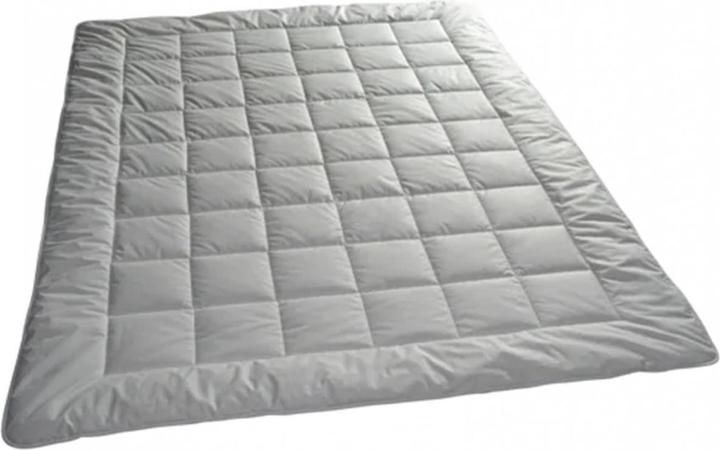 Image du produit Billerbeck Bamboo Light (920 g, 200 x 210 cm)