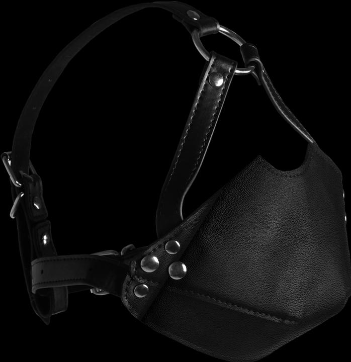 Actual product image Ouch! Head Harness with Mouth Cover and Breath Ball Gag