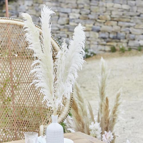 Produktbild Ginger Ray Pampasgras Getrocknet - Weiss 90cm (5Stk)