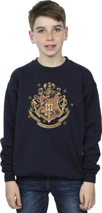 Immagine prodotto Gold Hogwart Crest Felpa Ragazzi (116)