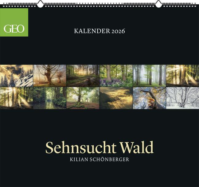Immagine prodotto Neumann GEO Kalender: Sehnsucht Wald 2026 - Wand-Kalender - Natur-Kalender - 60x55 (Copertina rigida, Tedesco)