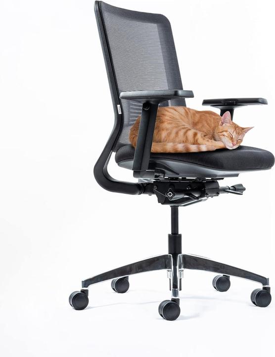 Produktbild Yaasa Chair Classic - Schwarz