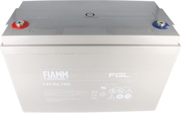 Fiamm 12FGL100 Blei Akku mit M6 Schraubanschluss 12V, 100000mAh (12 V, 100 Ah)