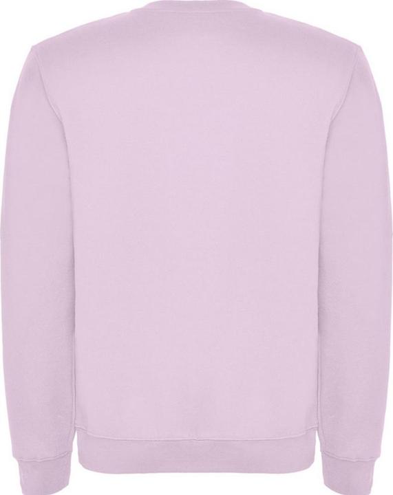 Actual product image Alpinia Childrens/Kids Clasica Crew Neck Sweatshirt (146, 152)