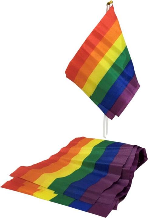 Actual product image ? Lgbt Flag, Small Flag Banner
