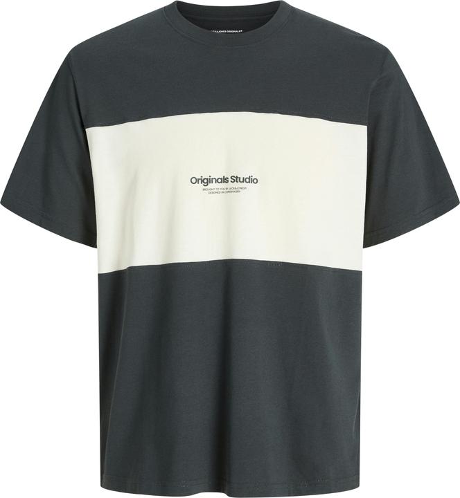 Produktbild Jack & Jones Jorvesterbro Block Tee Ss Crew Styd Aw24 (M)