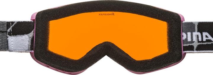 Image du produit ALPINA SPORTS Carvy 2.0