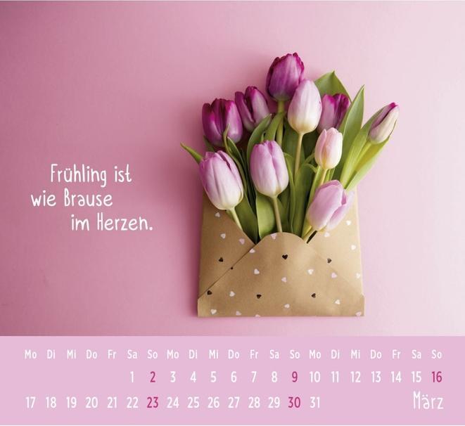 Produktbild Mini-Kalender (12 x 13 cm, Kein Einband, Deutsch)