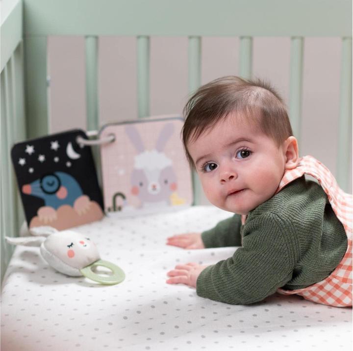Actual product image Taf Toys Hello Baby