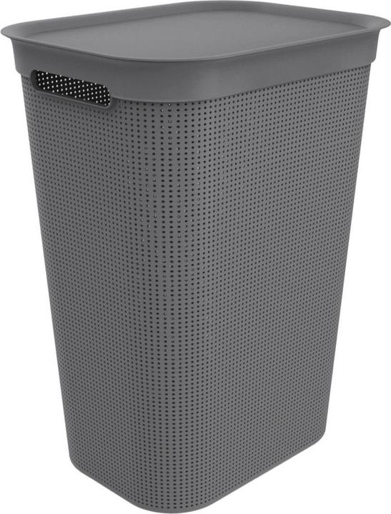 Rotho Brisen (50 l)