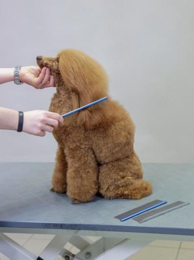Immagine prodotto Kerbl Pettine di pelliccia (Gatto, Cane)