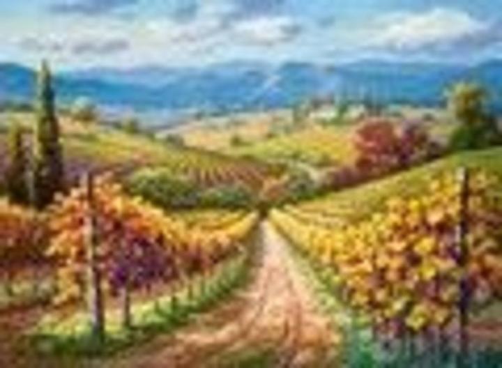 Actual product image Castorland 300587 Vineyard Hill, 3000 Piece Jigsaw Puzzles (3000 pieces)