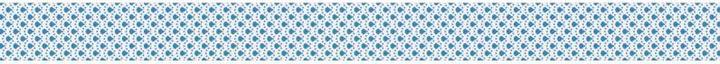 Actual product image Heyda Washi Tape Flowers