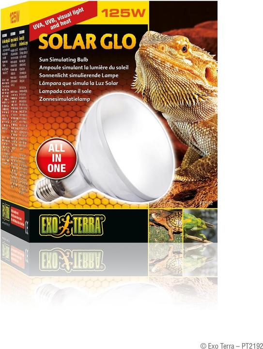 Exo Terra Solar Glo Lampe (UVB, UVA)