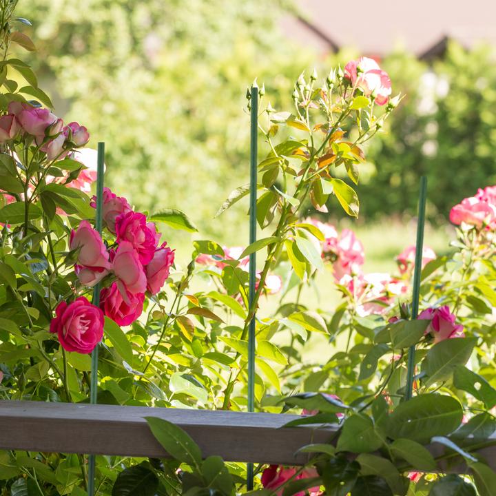 Actual product image Relaxdays 10x planting stick (1 cm, 1 cm)