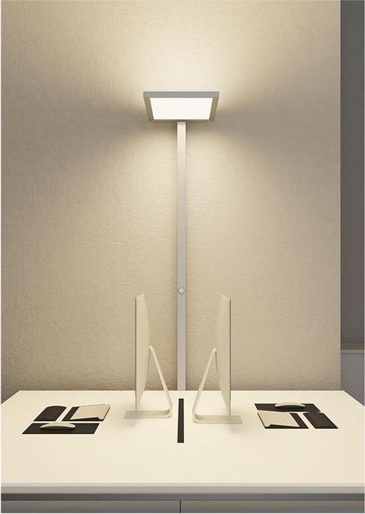 Image du produit Contini Prolux (7500 lm)