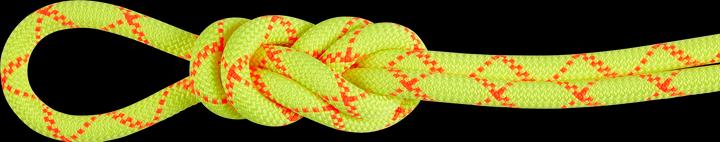 Produktbild Mammut 9.5 Alpine Core Protect Dry Rope (50 m)