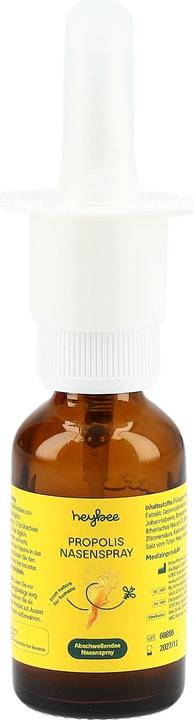 Actual product image Heybee Propolis (1 Piece)