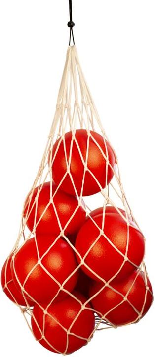 Tanga Sports ® Ballnetz