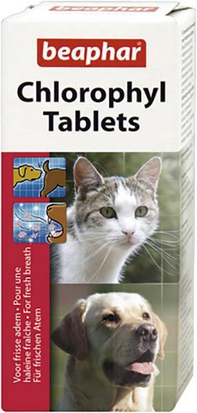 Actual product image beaphar Chlorophyll tablets Dog/Cat-Stop, 30 pcs. (Dog, Cat, 30 ml)