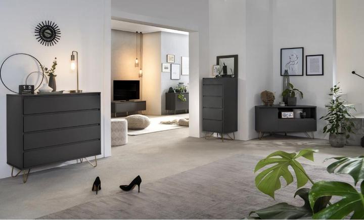 Actual product image SalesFever Charlie (160 x 40 x 70 cm)