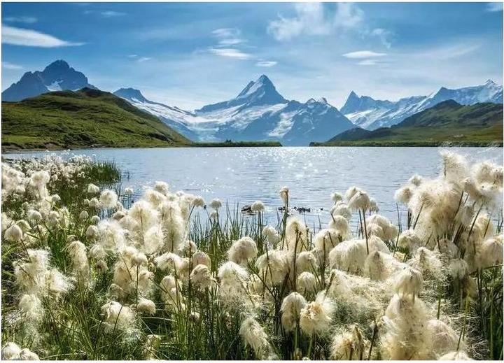 Produktbild Ravensburger Bachalpsee Grindelwald (1000 Teile)