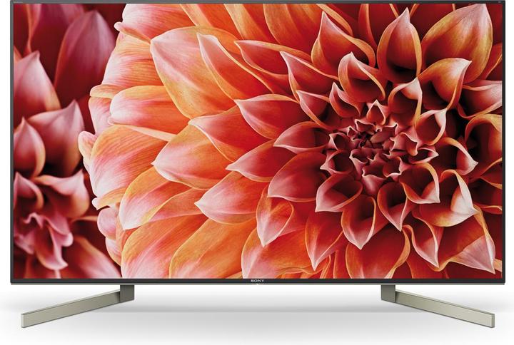 Sony Kd-55xf9005 (55", LCD, 4K, 2018)