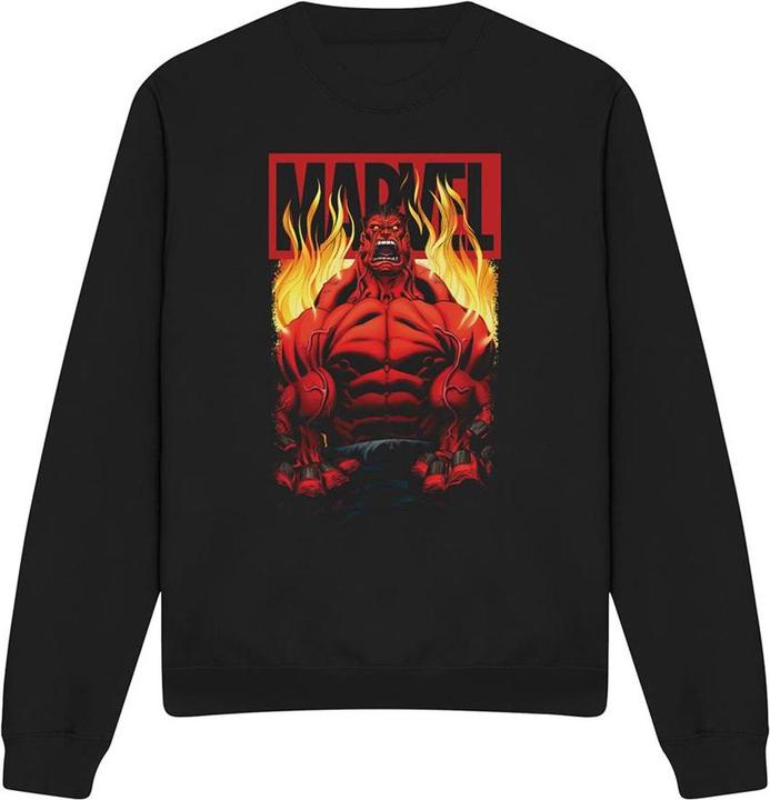 Produktbild Sweatshirt (S)