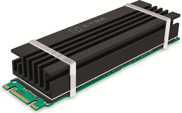 Image du produit Icy Box IB-M2HS-70
