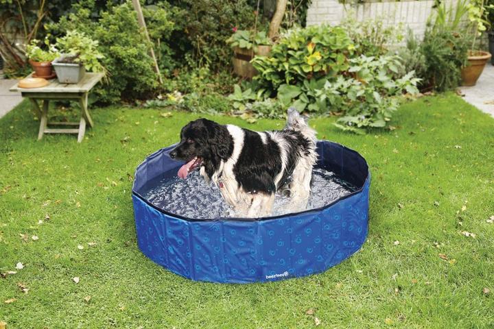 Image du produit Beeztees Piscine pour chiens (Piscine pour chiens)