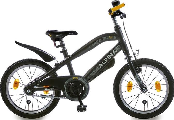 Immagine prodotto alpina Trial (18")