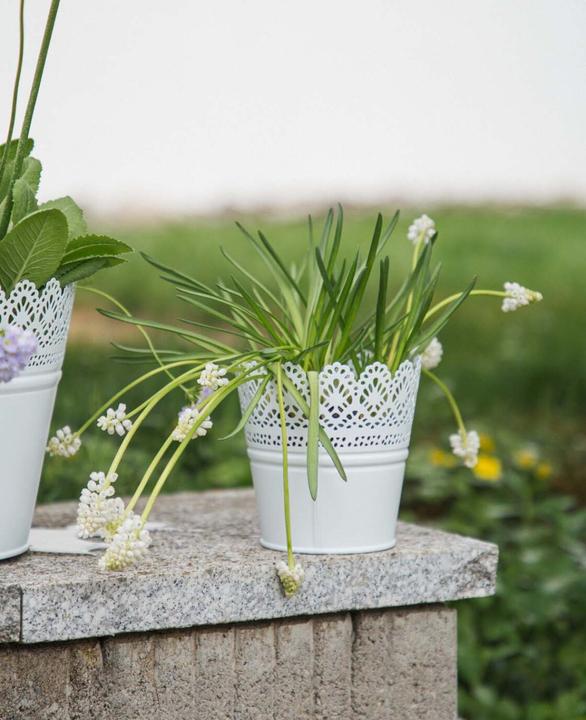Image du produit Esmée Pot de fleurs, cache-pot avec pointes, tôle (11 cm)