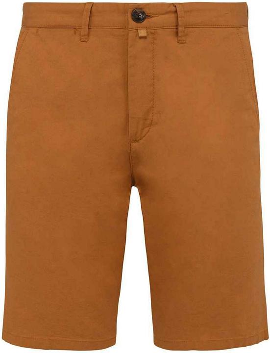 Actual product image Native Spirit Mens Casual Shorts (40)