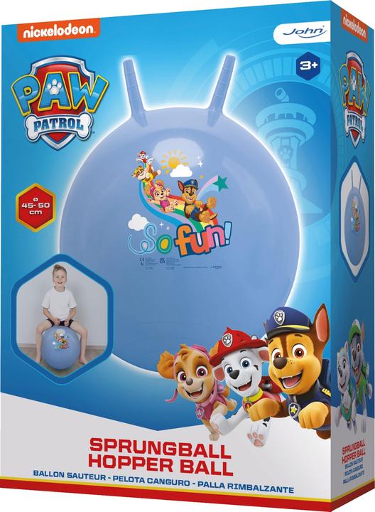 Actual product image John Paw Patrol