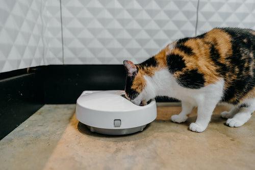Actual product image Cat Mate Futterautomat C500