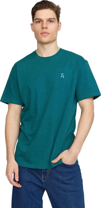 Revolution Application (XL)