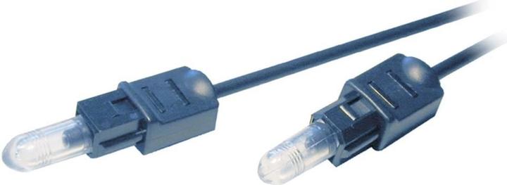 SpeaKa Professional Câble à fibres optiques Toslink 1 m (1 m, TOSLINK)